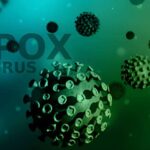 Why the Mpox Virus Outbreak 2024 Is So Concerning