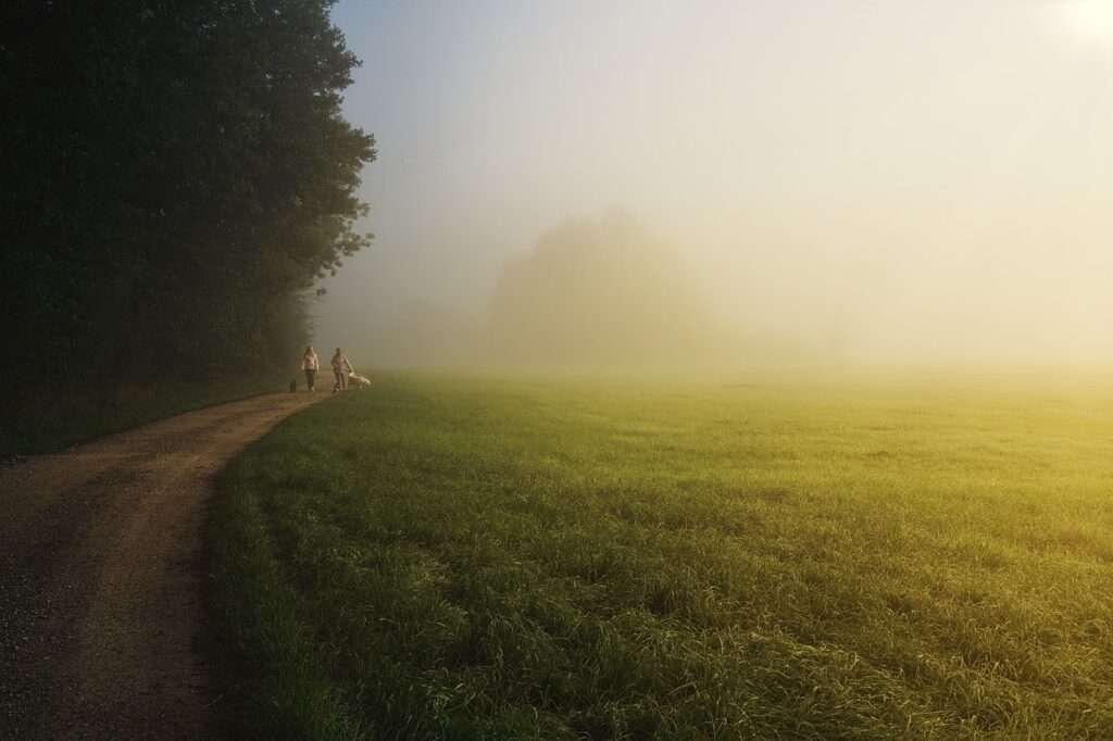 Importance of a Morning Walk