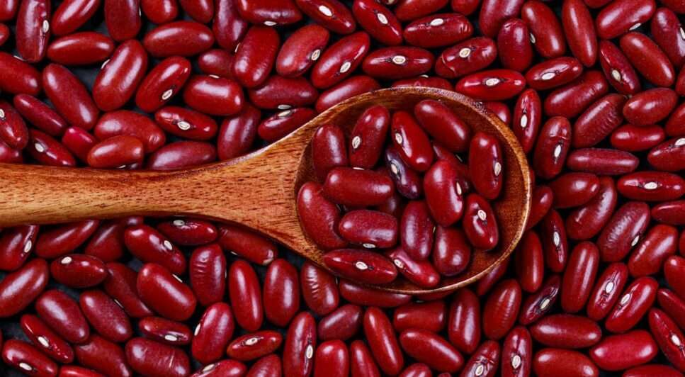 5 Amazing Health Benefits of Red Beans